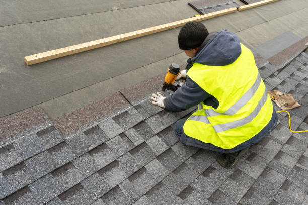 Best Shingle Roofing Installation  in Wesley Chapel, FL