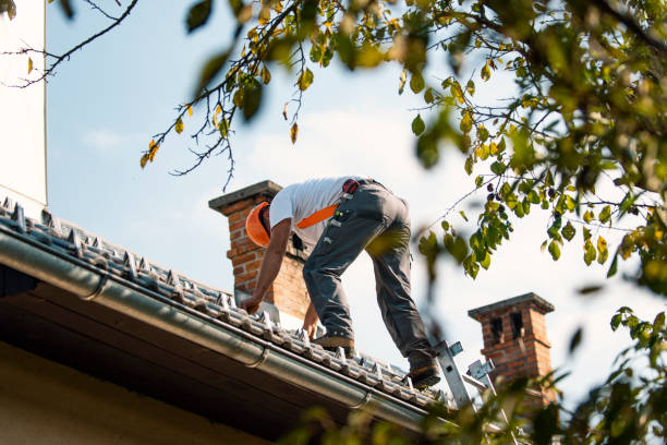 Best Roof Gutter Cleaning  in Wesley Chapel, FL