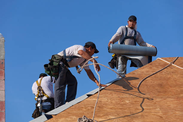 Quick and Trustworthy Emergency Roof Repair Services in Wesley Chapel, FL