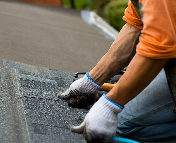 Best Roof Leak Repair  in Wesley Chapel, FL