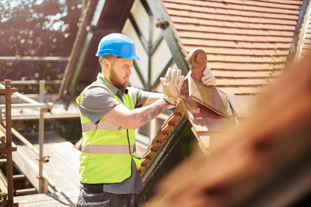Best Metal Roofing Contractor  in Wesley Chapel, FL