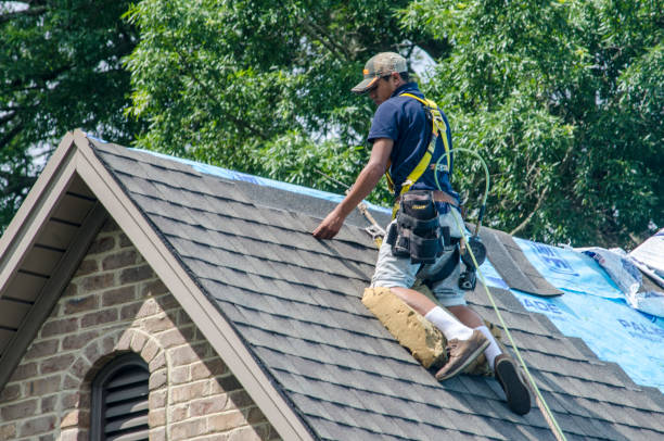 Best Tile Roofing Contractor  in Wesley Chapel, FL